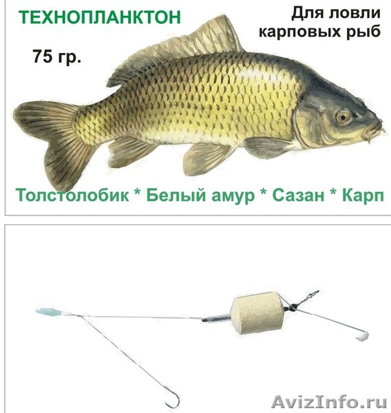 ловля карпа на технопланктон ловля карпа на технопланктон