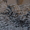 Качественный бетон и раствор по низким ценам в Самаре. - Изображение #3, Объявление #42163