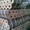 Евродрова для бань, каминов и печей в Самаре. - Изображение #1, Объявление #260682