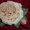 Курсы по цветоделию(цветы из ткани) Самара - Изображение #1, Объявление #299912
