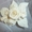 Курсы по цветоделию(цветы из ткани) Самара - Изображение #2, Объявление #299912