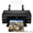 Продам принтер Epson Stylus Photo P50 + ПЗК #437757
