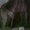 Мужская дубленка (натуральная) в Самаре - Изображение #4, Объявление #429088