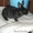 Кролики по 800рублей - Изображение #2, Объявление #550108
