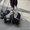 Щенок скай-терьера подрощенный - Изображение #5, Объявление #516951