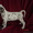 Элитные щенки далматина из питомника Водопад Любви - Изображение #2, Объявление #619952