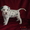 Элитные щенки далматина из питомника Водопад Любви - Изображение #3, Объявление #619952