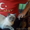 Сиамские котята старого  типа. ( кругло-мордые ) - Изображение #9, Объявление #359545