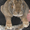 Продажа Кроликов-гигантов породы: Фландр, Ризен, Обер, Немецкий пестрый. - Изображение #5, Объявление #694982