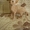 продажа котят канадский сфинкс - Изображение #4, Объявление #686503