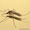 Уничтожение комаров,  Обработка участка от комаров,  клещей Самара и обл. #895466