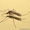 Обработка участка от комаров,  Уничтожение комаров, клещей в Самаре #893659