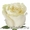 Розы Эквадора, Цветы от 