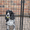 Вольер для собак  - Изображение #2, Объявление #1148484