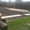 Укладка рулонного газона! от 50 руб. за м2.Самара, Тольятти, Сызрань.+79277770575