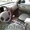 Hyundai Terracan JX 2005, 2,9л, 54000км турбо-дизель, АКПП 7местный рамный джип б/п по РФ!  - Изображение #2, Объявление #501
