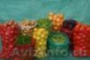 Овощная сетка-мешок для фасовки овощей и фруктов от компании ООО "Эталон" - Изображение #6, Объявление #281592
