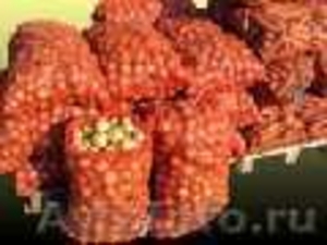 Овощная сетка-мешок для фасовки овощей и фруктов от компании ООО "Эталон" - Изображение #5, Объявление #281592