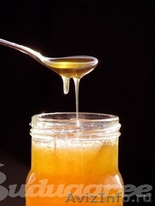 Продается свежий цветочный и подсолнечный мед с собственной пасеки - Изображение #1, Объявление #379967
