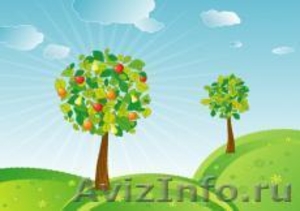 Саженцы плодовых и ягодных растений (деревья, кустарники) - Изображение #2, Объявление #634606
