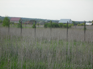 Продаю земельный участок в селе Сырейка.... - Изображение #3, Объявление #903627