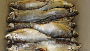 Свеж.мор. и вяленая рыба оптом - Изображение #2, Объявление #270919