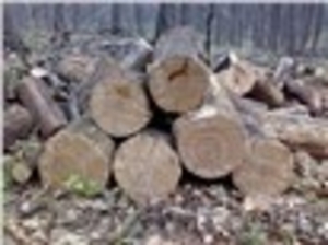 Колотые дрова дуб, берёза, осина, клен. - Изображение #3, Объявление #955896